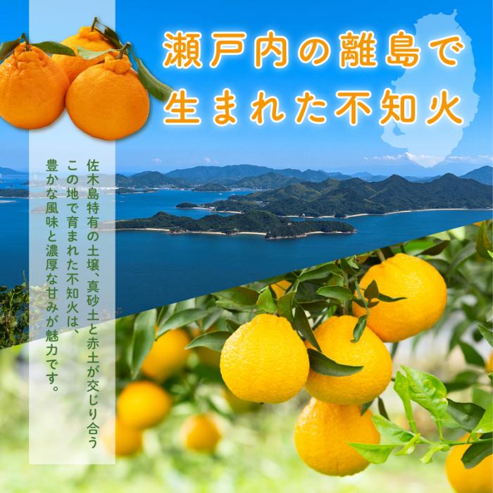 【先行受付】＜訳あり＞瀬戸内 島の不知火 約5kg 白鷺農園《2026年2月下旬～4月上旬頃出荷》 デコポン と同品種  旬 柑橘 フルーツ 果物 しらぬい デコポン わけあり 規格外 不知火 164003