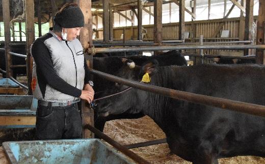 【2.5-1】松阪牛 ステーキ(モモ)400g(約200g×2枚)