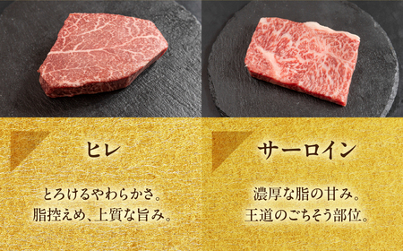 飛騨牛 希少部位食 5種 食べ比べステーキセット（各100g）計500g （サーロイン・ヒレ・ランプ・イチボ・トモサンカク）【22-51】