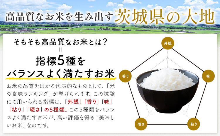 【12ヶ月定期便】米 茨城 ふるさと米 無洗米 5kg《申込月の翌月より出荷開始》茨城県 河内町 米 国産 お米 おこめ お弁当 おにぎり---kawachhi_lcl_361_5kg12tei---