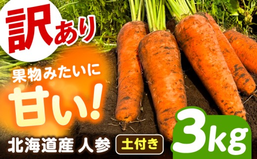 【先行予約】【訳あり】 北海道 にんじん 3kg（土付き）【11月上旬以降発送】《足寄町》【餌取ファーム】北海道産 甘い 訳あり 規格外 傷 キズ 人参 野菜 根菜 ニンジン 3kg 道産 キャロット 糖度高め サラダ ジュース 生鮮野菜 北海道産 あしょろ 足寄 [BEBA004]