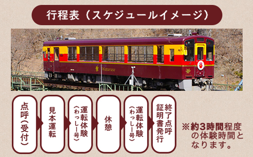 わたらせ渓谷鐵道　トロッコわっしー号運転体験　プレミアム貸切体験プラン