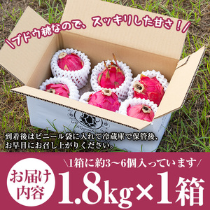 No.1145 《数量・期間限定》鹿児島県産！ドラゴンフルーツ(1.8kg・3個～6個) 国産 鹿児島 日置市 産地直送 スイーツ デザート 果実 果物 くだもの フルーツ 栽培期間中 農薬不使用 無