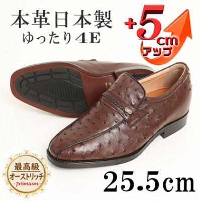ふるさと納税 大和郡山市 オーストリッチ革幅広スワローモカスリッポン 5cmアップシューズ No.67 ブラウン 25.5cm