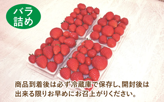 嘉山農園の完熟いちご とちおとめ（300g×4パック）【いちごはうす嘉山農園】 [AKCO002]