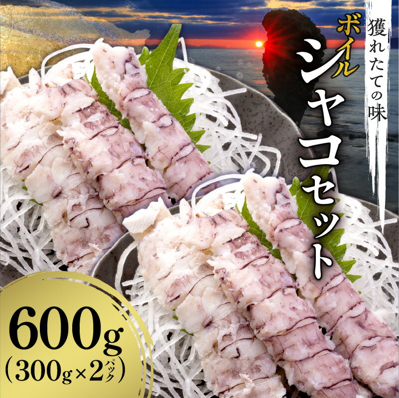 【ふるさと納税】獲れたての味！ ボイルシャコ 300g × 2 パック 甲殻類 魚介類 ボイル 天ぷら 鍋の具 唐揚げ パスタ アヒージョ 寿司ネタ 冷凍 蝦蛄 お取り寄せ 北海道 余市町 送料無料