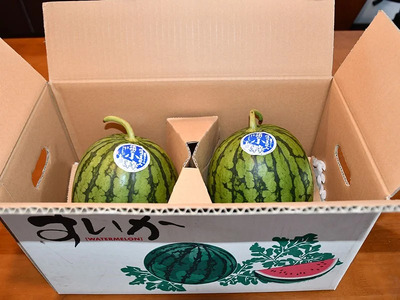 【先行受付：2026年7月発送】信州波田産 小玉スイカ ！信州の小粋 【極上】 2玉 2Sサイズ｜ふるさと納税 長野県 信州 松本 果物 フルーツ すいか スイカ