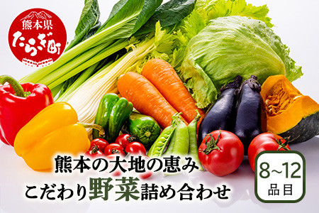 熊本の大地の恵み 旬の こだわり野菜詰め合わせセット 8?12品 （3?4名様向け）野菜 獲れたて 新鮮 野菜 セット 詰め合わせ 詰合せ 産地 直送 国産 季節 野菜 家族 ファミリー 多良木町 024-0809