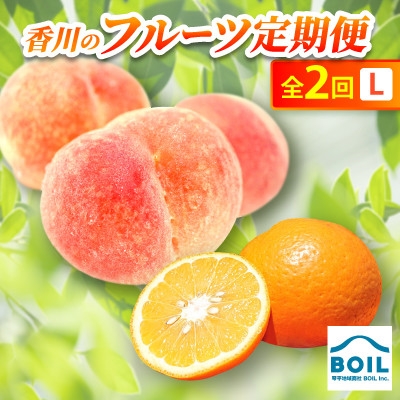 
                  ＜発送月固定定期便＞香川のフルーツ(2L)全2回【4083509】
                