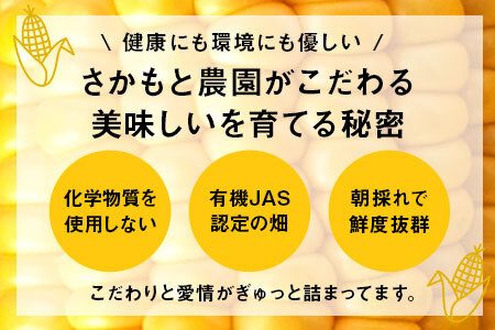 【2026年発送】朝採り有機栽培スイートコーン22本入【AV-005】