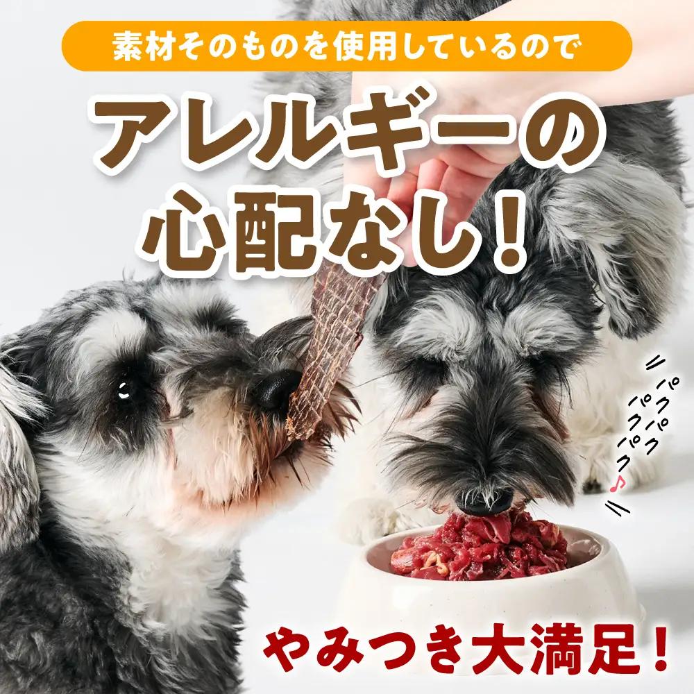 ペット用 馬肉切り落とし1kg＆馬刺しジャーキー100g 馬肉 ペットフード ドッグフード