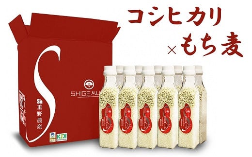 【令和6年産新米】ブレンド米（無洗米コシヒカリ×もち麦）300gボトル×10本（計 3kg）しげ麦[Y0072]