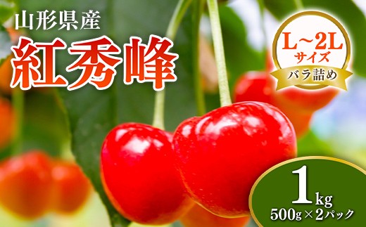 【先行予約 令和8年度発送】山形県産 さくらんぼ 紅秀峰 1kg（500g×2パック）秀品以上 L～2Lサイズ FSY-0676