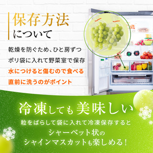 長野県産 シャインマスカット 秀品 約1kg〈2026年9月下旬～11月上旬発送〉| 長野県 飯田市