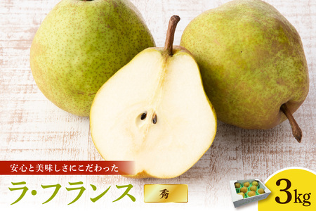ラ・フランス 3kg フルーツ 果物 山形 08-28-002