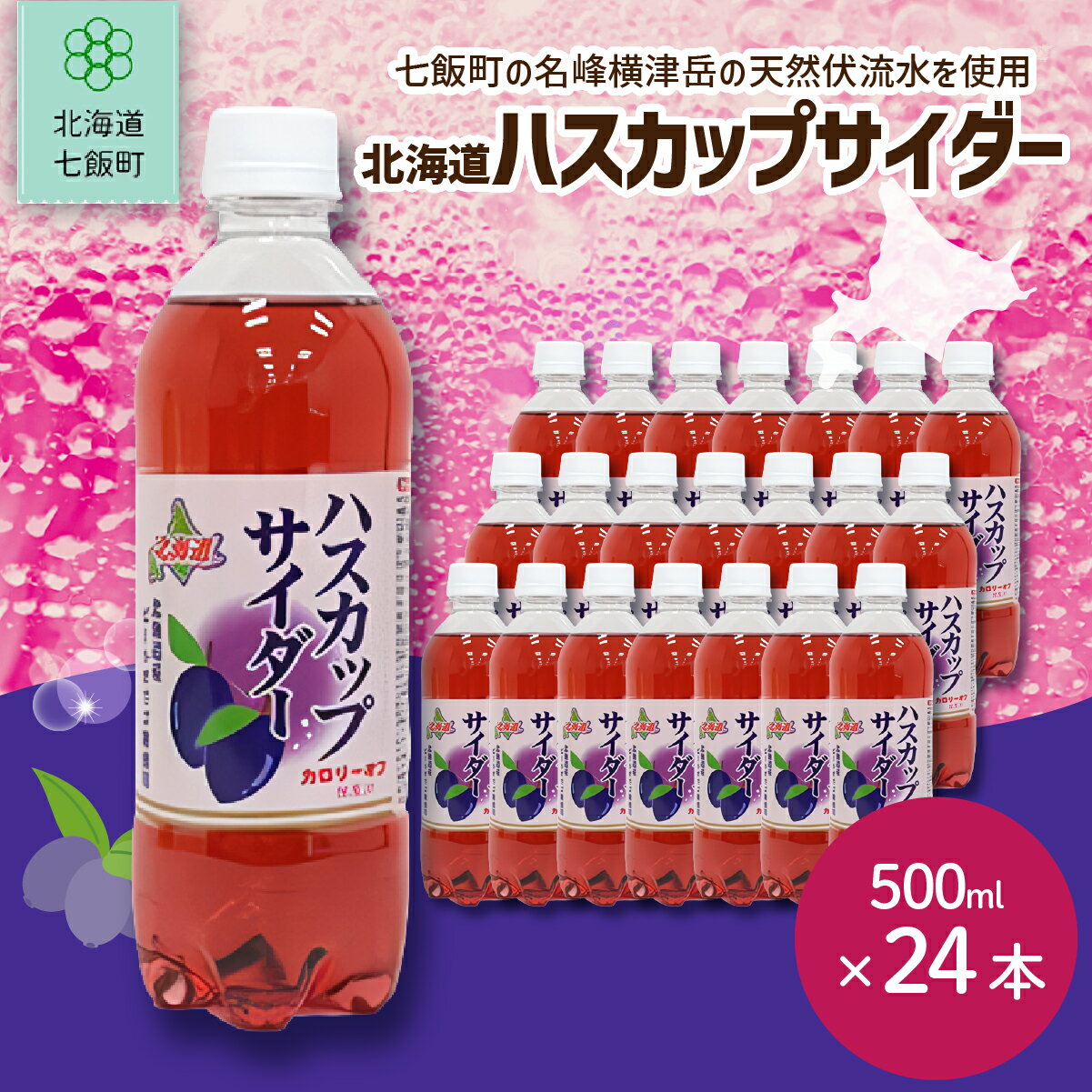 【ふるさと納税】ハスカップサイダー24本（500mlペットボトル） ふるさと納税 人気 おすすめ ランキング ハスカップサイダー 北海道代表 ご当地 北海道 七飯町 送料無料 NAQ009