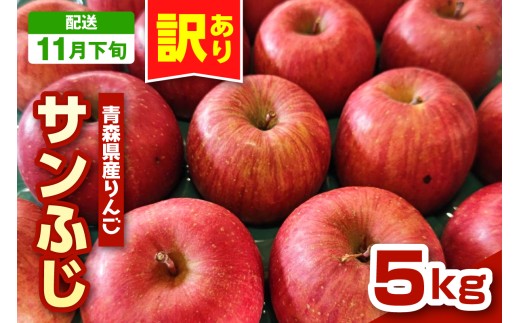 【2026年11月下旬発送】りんご 青森 サンふじ 5kg 程度 《 訳あり 》 農家直送 サンフジ 青森県 五所川原市 傷 キズ ワケアリ 林檎 リンゴ apple
