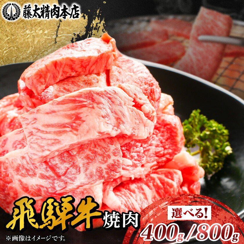 【ふるさと納税】【飛騨牛】切り落し焼肉用 400g 岐阜県産 黒毛和牛【配送不可地域：離島】【1107365】