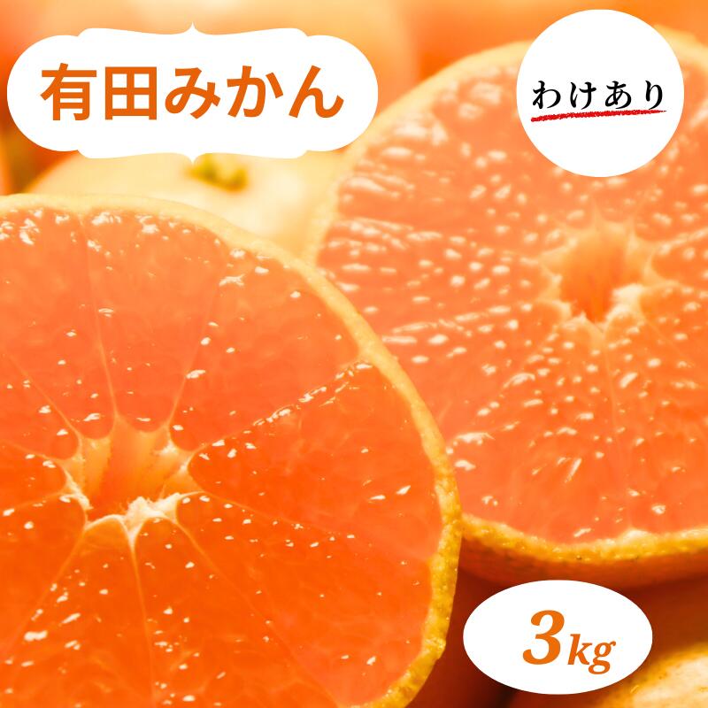【ふるさと納税】和歌山県産 有田みかん 3kg 訳あり 家庭用 ※2026年10月中旬-2026年1月中旬頃に順次発送予定（お届け日指定不可)