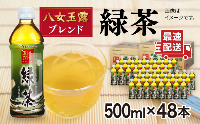 八女 玉露入り 緑茶 500ml × 48本 糸島市 / スターナイン お茶 ペットボトル [ARM025]