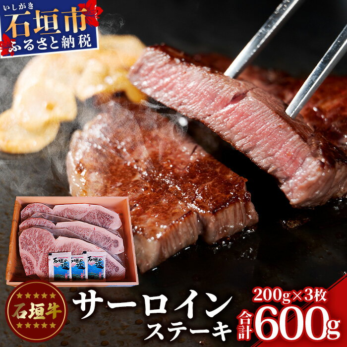 【ふるさと納税】石垣牛サーロインステーキ200g×3枚 TA-1