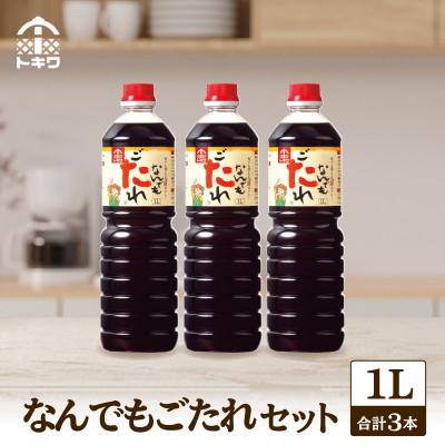 ふるさと納税 香美町 【なんでもごたれセット  1L×3本】16-20
