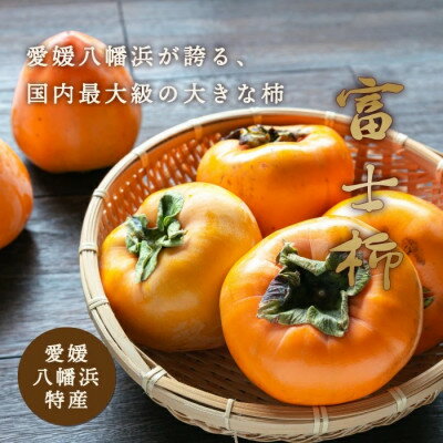 【ふるさと納税】《八幡浜特産 国内最大級の 柿》 富士柿 10kg (5kg×2箱)種無し【H20-37】【1594879】