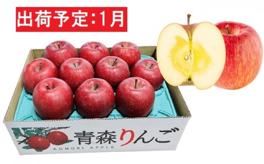 
                  1月  特A 蜜入りサンふじ約3kg　糖度13度以上 【青森りんご・マルコウアップル】 果物類 林檎 リンゴ 
                
