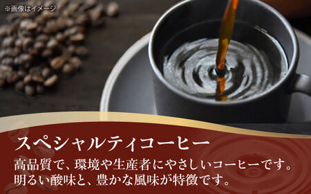 コーヒー豆  スペシャルティコーヒー おすすめ2種セット 各250g 珈琲 コーヒー豆 コーヒー粉 コーヒー ドリップ ドリップ珈琲 飲料 愛媛県大洲市/株式会社日珈[AGCU027]
