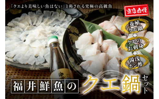 【先行予約】幻のクエ！国産 くえ刺身＆鍋 湯浅ゆずポン酢セット くえ 鍋 セット【fki103】