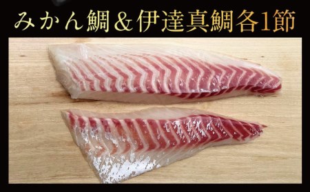 みかん鯛 & 伊達真鯛 270g~350g 刺身 食べ比べ 宇和島プロジェクト  刺身 みかん 蜜柑 柑橘  刺身 人気 刺身 真鯛 刺身 鯛 刺身 マダイ 刺身 タイ お刺身 お刺し身 刺し身  冷