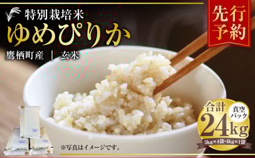【令和7年産】 ゆめぴりか （玄米） 真空パック 24kg 北海道 鷹栖町 たかすタロファーム 米 コメ こめ ご飯 玄米 お米 ゆめぴりか コメ 玄米 【2025年9月下旬より発送開始】