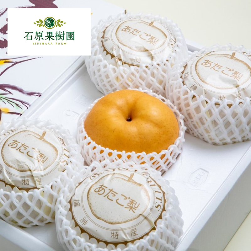 梨 2025年 先行予約 ご家庭用 あたご梨 3~9玉入り約4kg 化粧箱【11月下旬~12月中旬頃発送】  ナシ なし 岡山県産 国産 フルーツ 果物 石原果樹園