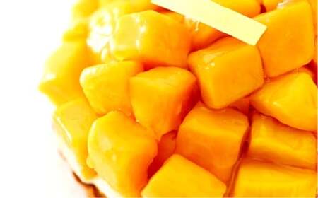 フレッシュタルト 専門店 「STYLE」 マンゴー タルト 1個（5号 15cm 約900g）贅沢なサクサク リッチなバター 濃厚なクリーム 極上のマンゴー 究極のデザート マンゴー タルト