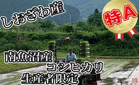 【令和7年産】【生産者限定 契約栽培】南魚沼しおざわ産コシヒカリ20kg（５kg×4袋）【2025年10月上旬より順次発送予定】