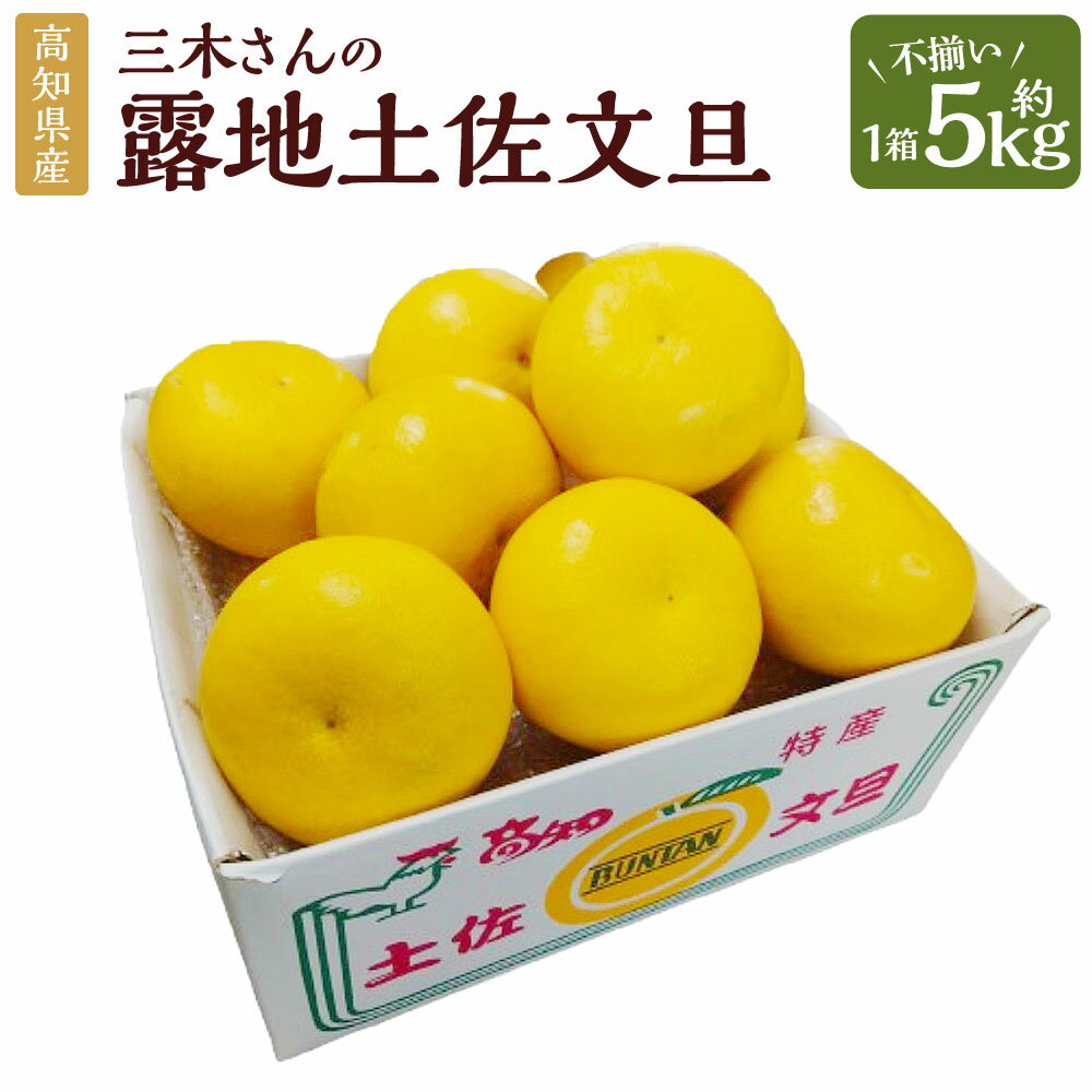 【ふるさと納税】三木さんの露地栽培土佐文旦 1箱 約5kg 【2026年4月上旬迄発送予定】 文旦 ぶんたん ブンタン 柑橘 柑橘系 柑橘類 みかん ミカン 蜜柑 果物 くだもの フルーツ 国産 高知県 香美市 常温