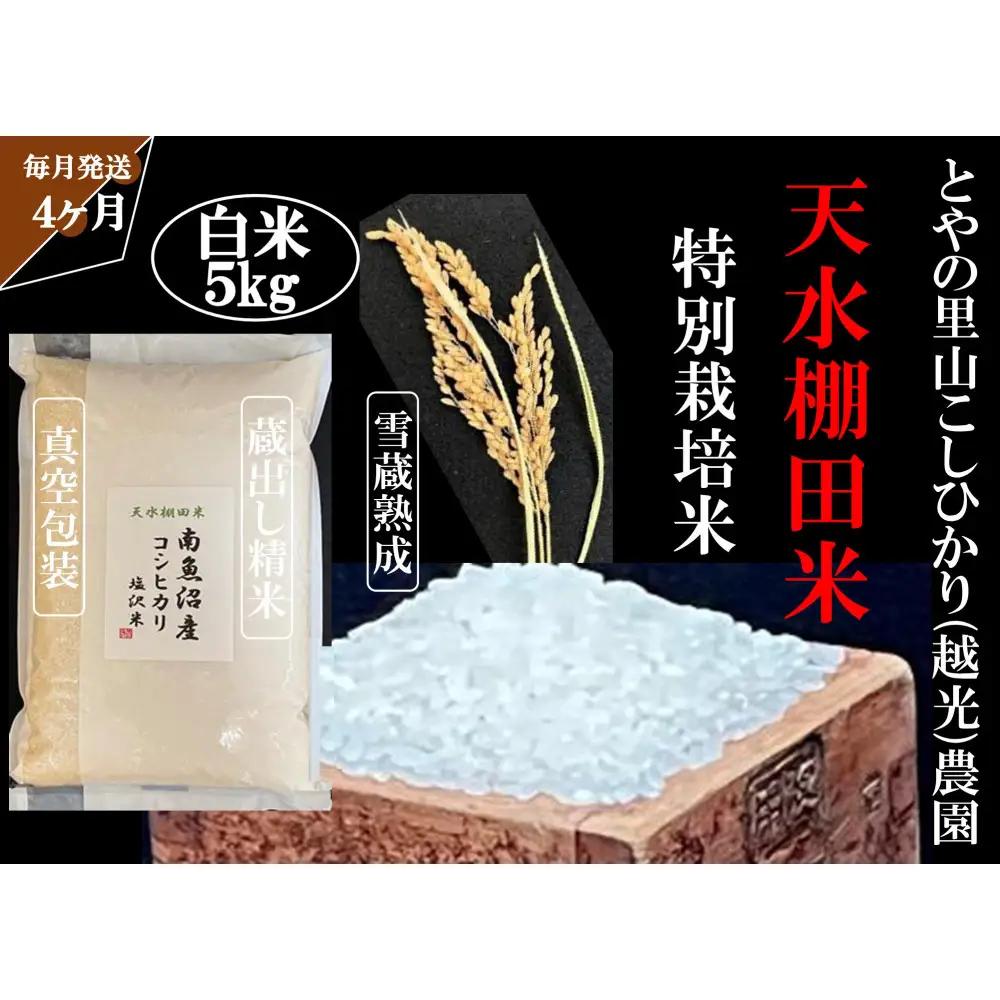定期便「とやの里山継承プロジェクト対象」【天水棚田米】南魚沼塩沢産コシヒカリ　精米5kg全4回【定期便 銘柄米 ブランド米 精米 こしひかり コシヒカリ 魚沼産 新潟米 産地直送 お米 米 こめ コメ ご飯 御飯 ごはん】
