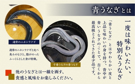 【定期便】幻の青うなぎ 蒲焼 2尾 全3回 定期便