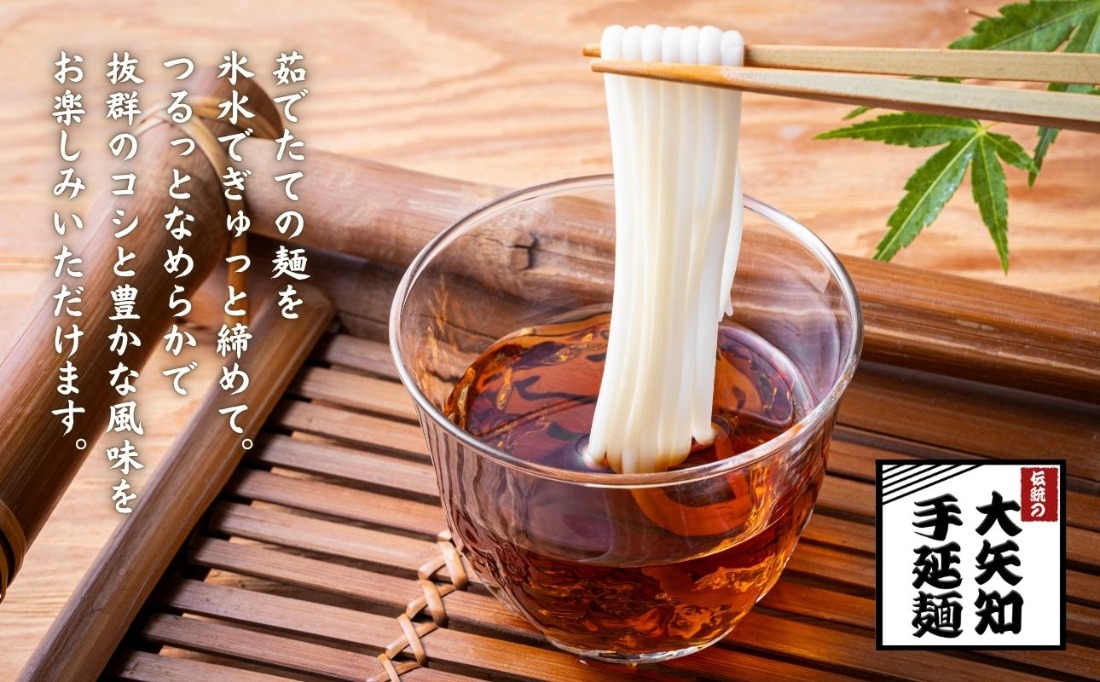 【TV番組 マツコ＆有吉 かりそめ天国 紹介店】「金魚印」手延ひやむぎ＆そうめん 詰め合わせ セット（冷麦9束･23食分＆素麺10束･5食分）│大矢知 手延べ麺 手延べめん 高級 無添加 乾麺 長期保存 お中元 贈答 贈り物 お歳暮 お取り寄せ 三重県 四日市市