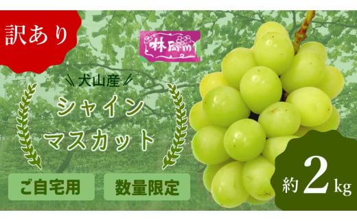 19-15_【期間限定・数量限定】訳あり犬山産シャインマスカット 約2キロ（2025年先行予約） ｜ ぶどう 甘い 2キロ 限定 夏 林ファーム 房 ブドウ 中玉 犬山 ご自宅用 ご褒美 訳アリ 小粒 シャインマスカット 種なし 皮ごと