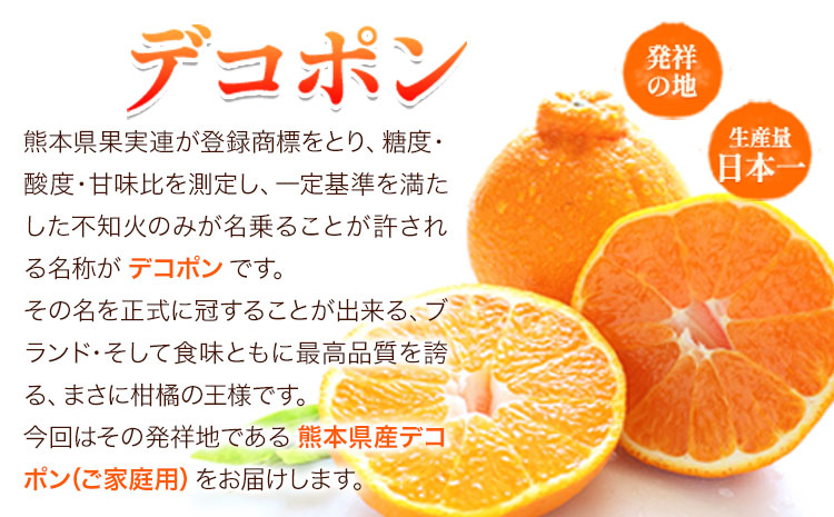 ご家庭用 デコポン デコポン約2.5kg前後(約6-12玉前後)《4月上旬-5月上旬頃出荷》不知火 熊本県産 熊本県 長洲町 糖度13度以上---ng_cdeko_ad4_r8_9500_25k---