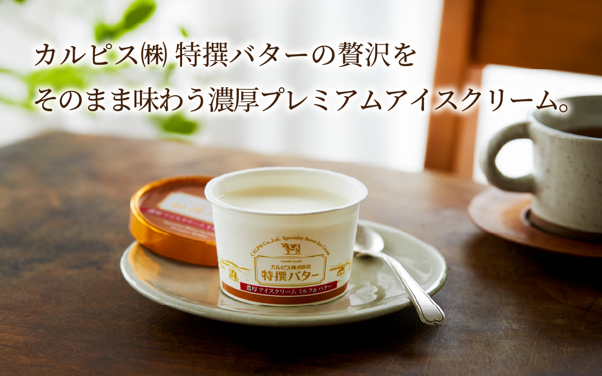 カルピス㈱特撰バターアイスクリーム 10個入
