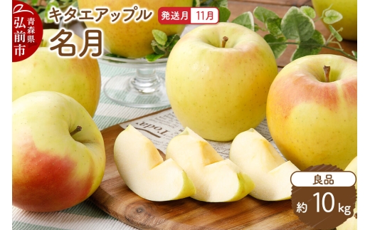 【26年11月発送】りんご 名月【良品】約10kg キタエアップル 青森県 弘前市 [先行予約 名月 りんご 贈り物 アップル おいしい 果実 果物 黄色 美味 林檎]
