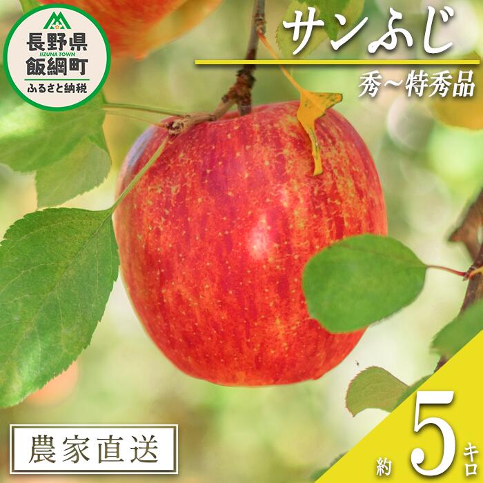 【ふるさと納税】 りんご サンふじ 秀 〜 特秀 5kg 渡辺農園 沖縄県への配送不可 令和7年度収穫分 エコファーマー認定 減農薬栽培 長野県 飯綱町 〔 信州 果物 フルーツ リンゴ 林檎 長野 16000円 予約 農家直送 〕発送時期：2025年12月上旬〜2026年1月中旬 {***}