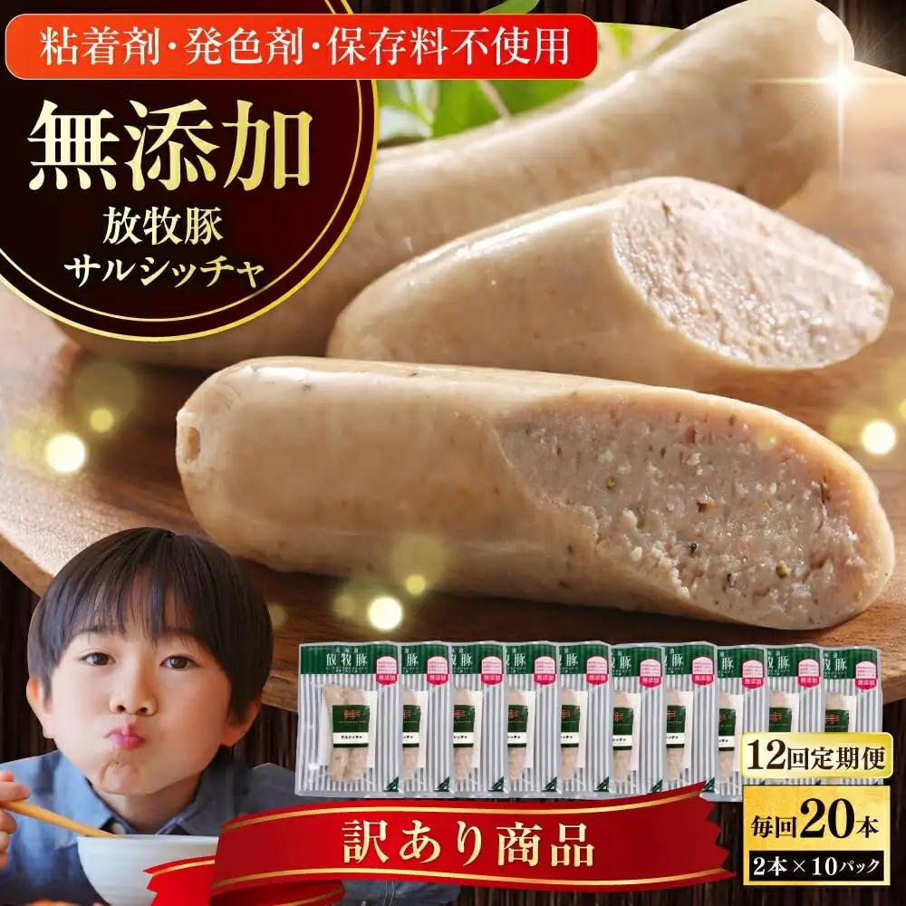 【全12回定期便】【訳あり】【結着剤・発色剤・保存料不使用】 放牧豚 サルシッチャ 2本x10セット（90g/パック） 訳あり ソーセージ ウインナー 無塩せき 冷凍配送 セット 詰め合わせ 北海道 [AXBA077]