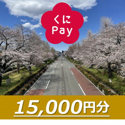 【ふるさと納税】国立市デジタル地域通貨『くにPay』15,000ポイント