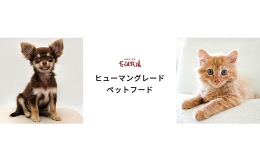 ヒューマングレードペットフード エゾ鹿肉の極上ジャーキー 30g×15個セット（犬用おやつ）