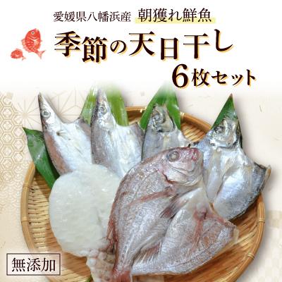 ふるさと納税 八幡浜市 無添加・天日干し　ピチピチ朝獲れ鮮魚の天日干し　6枚【C26-7】