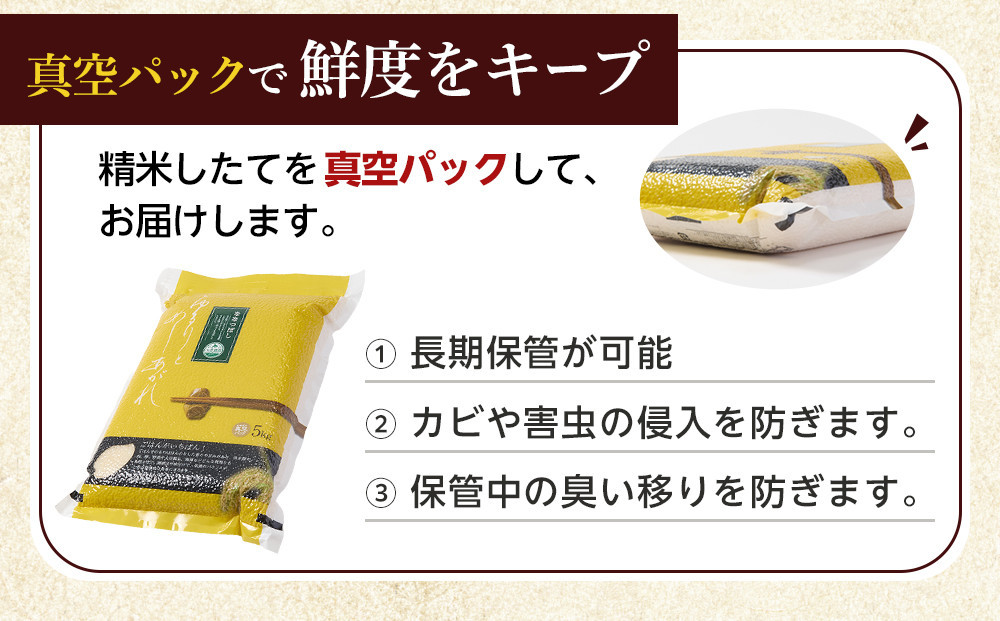 【4月配送】令和7年産　ゆめぴりか 無洗米 真空パック 5kg×1袋 5kg_05240