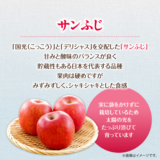 【先行予約】＜2026年12月上旬よりお届け＞北海道壮瞥町　【訳あり】りんご　品種名「サンふじ」約10kg SBTF030